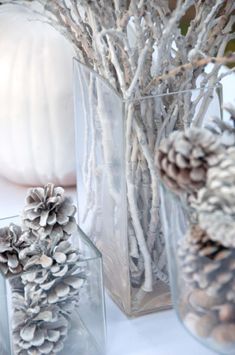 pine cones and branches in glass vases with white pumpkins on the other side