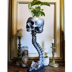 a skull planter sitting on top of a wooden table next to a framed photo