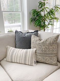 a couch with several pillows on it in front of a potted plant and window