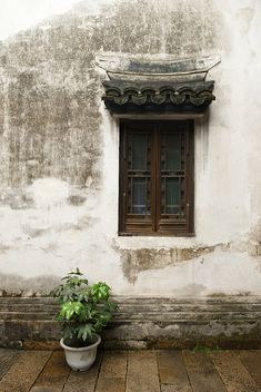 a potted plant sitting in front of a window on the side of a building