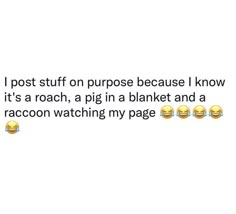 some emoticions with the caption i post stuff on purpose because i know it's a roach, a pig in a blanket and a racoon watching my page