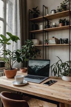 a laptop on a wooden table in front of a window with potted plants next to it