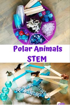 Animals Stem Activities, Winter Animals Preschool, Animals Preschool, Winter Theme Preschool