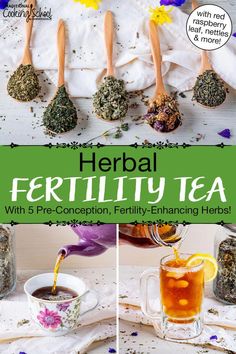 Nourish your body with herbs that support hormone balance and optimize reproductive health like in this delicious herbal fertility tea. Fertility Herbs, Boosting Fertility, Herbs For Fertility, Fertility Tea, Fertility Boosters, Nourish Yourself, Red Raspberry Leaf, Tonic Recipe, Fertility Health