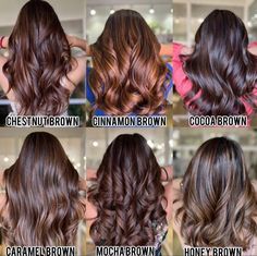 Hazelnut Chocolate Brown Hair, Brown Balayage Cinnamon, Coffee Hair Balayage, Chocolate And Cinnamon Hair, Mocha Carmel Hair, Roasted Coffee Hair Color, Chestnut Color Hair With Highlights, Hair Color Ideas Chestnut Brown, Chocolate Silk Hair