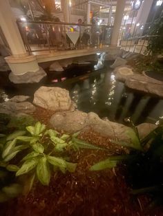 an indoor pond with rocks and plants in it