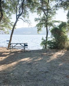 there is a picnic table under the trees by the water's edge with no one around it