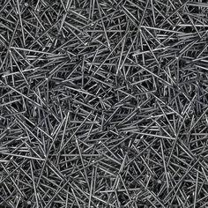 black and white photograph of needles in the grass