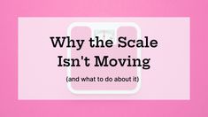 Why the scale isn't moving (and what to do about it) | Metabolism Makeover Inner Health, I Really Want You, Muscle Definition, Blood Sugar Control, Circadian Rhythm, Take A Breath, Gut Health, The Worst