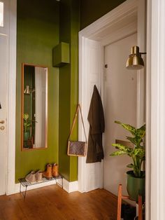 an entryway with green walls and wooden flooring next to a potted plant