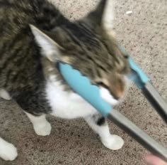 a cat is playing with scissors on the floor