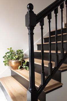 a potted plant sitting on top of a wooden stair case next to a banister