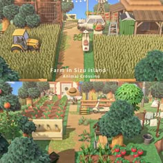 farm in sis island animal crossing