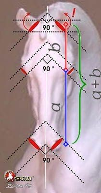 an image of a man's head with arrows pointing in different directions