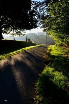 the sun shines through the trees on a road in front of some green grass