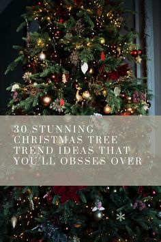 See more here: https://byannabellerose.com/30-stunning-christmas-tree-trend-ideas-that-youll-obsess-over/ Here are 30 stunning Christmas tree trend ideas for 2021 that you will be obsessed with! Christmas Tree Themes Traditional, Modern Traditional Christmas Tree, Stunning Christmas Trees, Christmas Tree Trends 2023/24, Thanksgiving Christmas Tree Ideas, All Christmas Trees, Tree Inspo Christmas, Decorating Real Christmas Trees, Real Christmas Tree Decorations