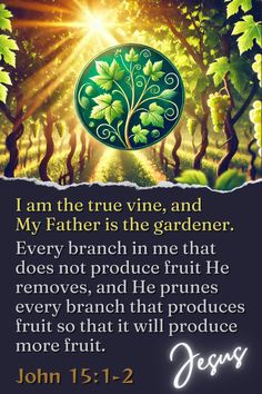 john 15 12 - 22 i am the true vine and my father is the gardener