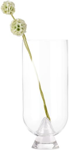 a white flower in a glass vase on a white background with no one around it