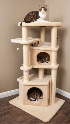 two cats sitting on top of a cat tree