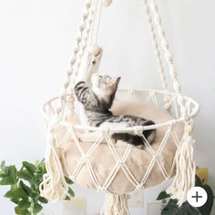 a cat is laying in a hammock hanging from the ceiling and playing with it's paw