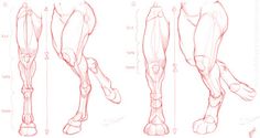 the legs and feet of a horse are shown in this drawing lesson, which shows how to