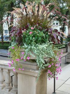 a planter filled with lots of purple flowers