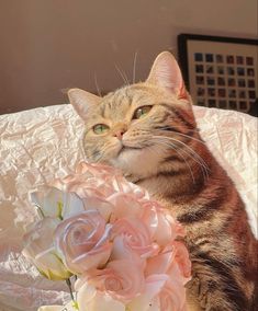 a cat sitting on top of a white chair next to a bouquet of pink and white flowers