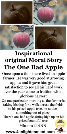 an advertisement for the apple festival with two pictures of apples hanging from it's branches