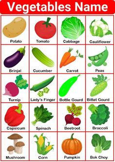 an image of vegetables names in english