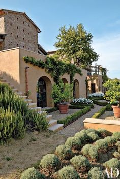 an outdoor garden area with potted plants and steps leading up to a house in the background