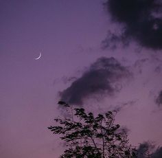 the moon is visible in the purple sky above some trees and clouds at night time