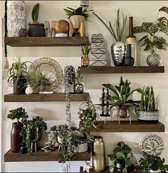 several wooden shelves filled with potted plants