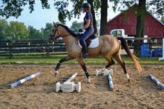 a woman riding on the back of a brown horse next to white plastic barrels and trees