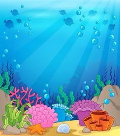 an underwater scene with corals, shells and other marine life on the bottom water