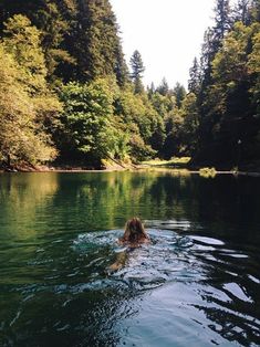 a woman swimming in the middle of a lake surrounded by trees and forest on a sunny day