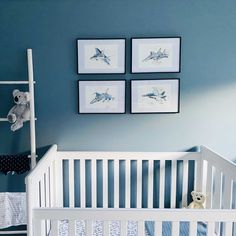 a baby's room with blue walls and pictures on the wall