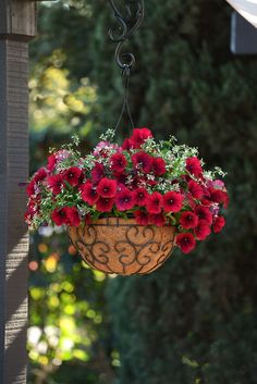 a hanging planter filled with red flowers