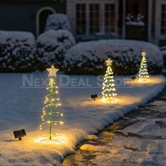 lighted christmas trees in the snow with lights on them