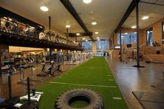 an indoor gym with artificial turf and lots of equipment