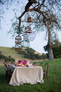 a table set up in the grass with bird cages hanging from it's branches