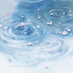 water with pink flowers floating in it