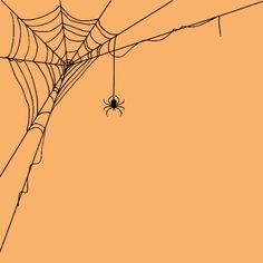 a spider sits on its web in front of an orange background with black outlines