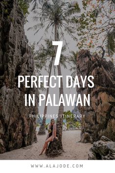 a woman sitting on top of a palm tree next to the ocean with text overlay that reads 7 perfect days in palawan