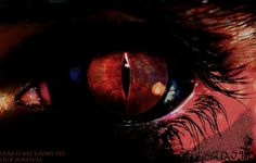 an eye with the words fear is necessary to your survival written in red on it