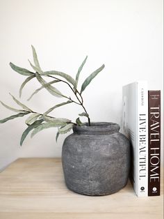 a plant in a pot next to a book