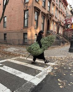 a woman walking across a street carrying a christmas tree