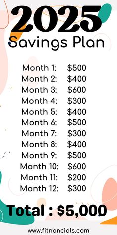 the financial savings plan is shown in black and white