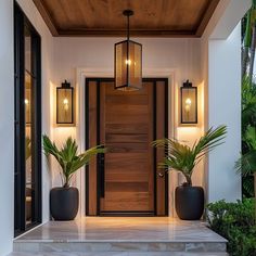 the entrance to a house with two plants and lights on it's side door