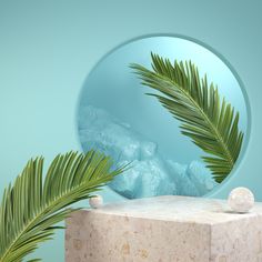 there is a palm tree in front of a round mirror on a table with rocks