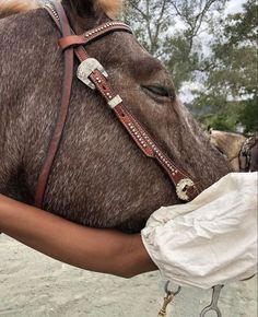 a close up of a person petting a horse